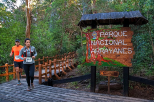 Trail running en el corazón del bosque de Arrayanes